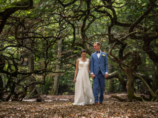 Br&ouml;llopsfotograf Sk&aring;ne, Trollskogen brud och brudgum portr&auml;tt