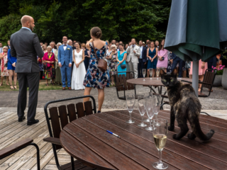 Br&ouml;llopsfotograf sk&aring;ne, br&ouml;llop p&aring; boklunden